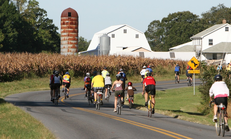 All kinds of riders enjoy the Amish ride.