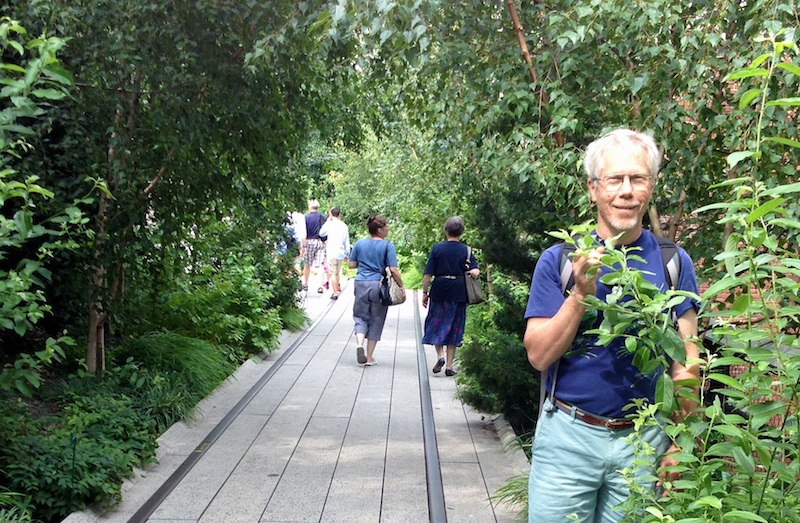 Author on New York City's High Line
