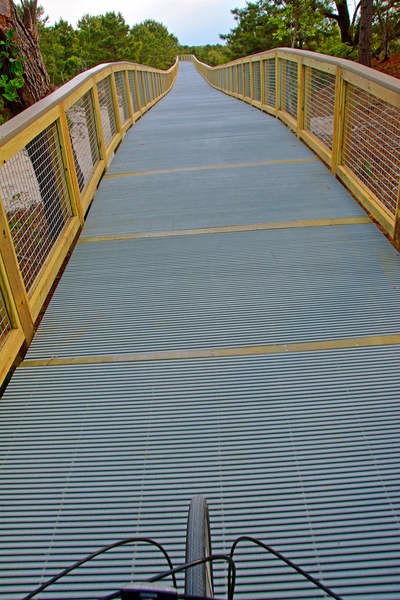 Cycling on the elevated boardwalk, part of the Gordon Pond Trail. Photo credit: Ron MacArthur/Cape Gazette