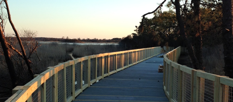 A boardwalk portion of the Gordons Pond Trail under construction. The trail will be officially opened by Governor Markell and DNREC Secretary O'Mara on Wednesday at 10AM.