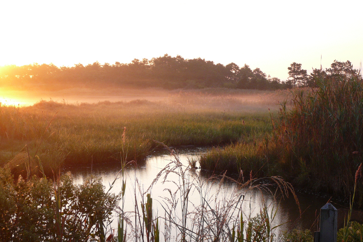 Gordons Pond in Cape Henlopen State Park near Lewes