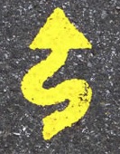 Savage Road Marking logo